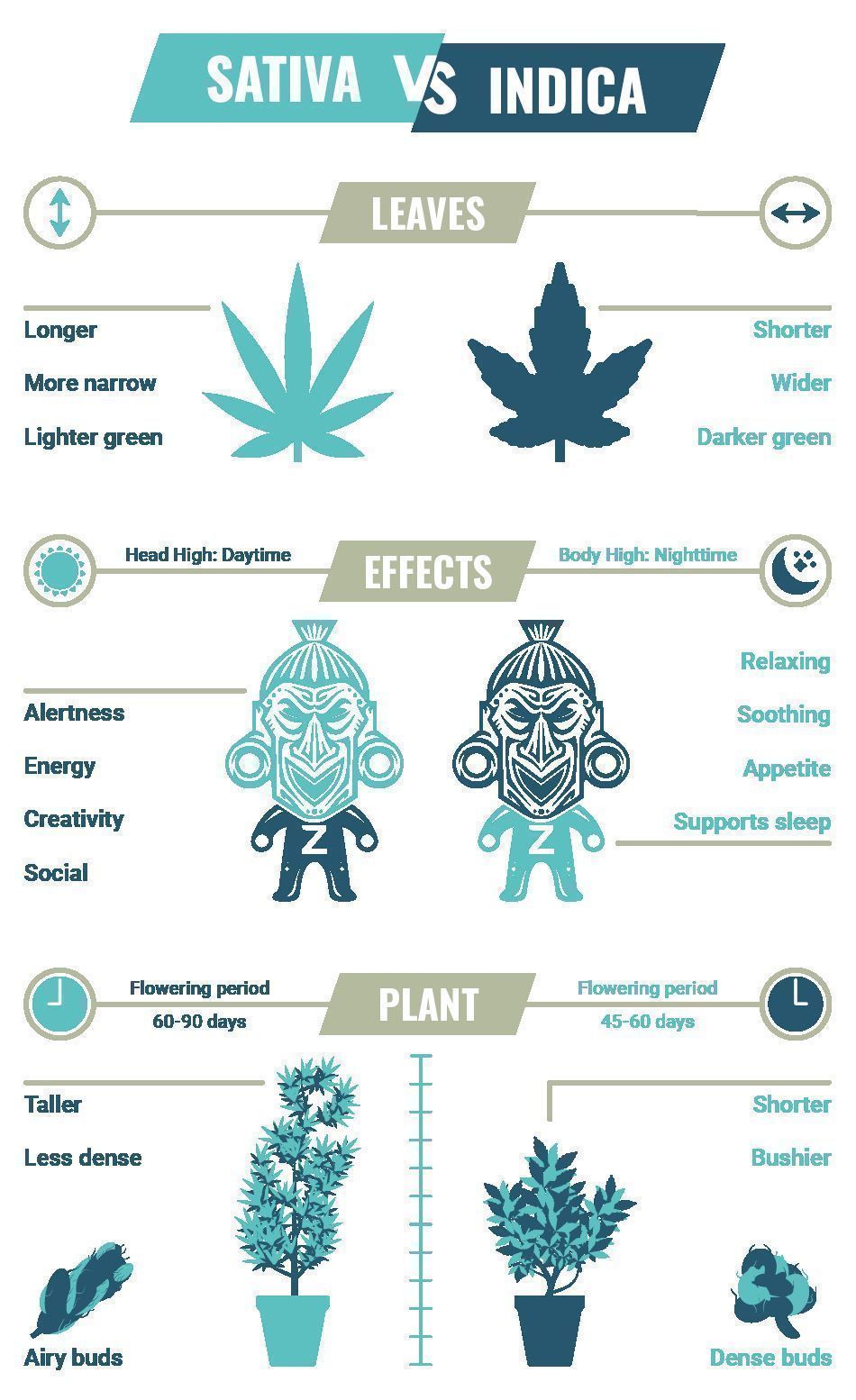 Sativa Vs Indica Effects Zamnesia